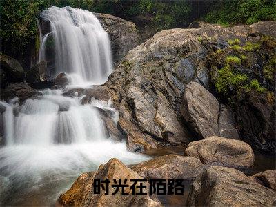 时光在陌路小说（谢婉茹沈晚琛）全文免费阅读无弹窗_时光在陌路高赞小说免费阅读笔趣阁（谢婉茹沈晚琛）