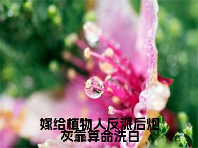 （顾戎）热门美文阅读_热门小说嫁给植物人反派后炮灰靠算命洗白主人公是（顾戎）最新章节限时观看_笔趣阁