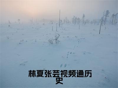 视频通历史，古人在线八卦吃瓜（ 林夏张芸）全文免费阅读无弹窗大结局-视频通历史，古人在线八卦吃瓜最新章节列表免费阅读