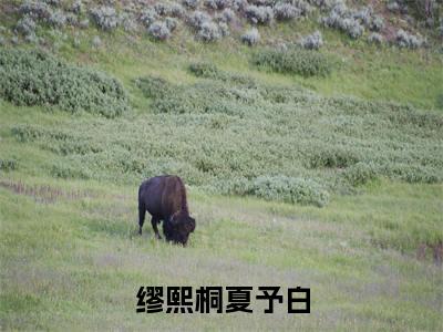 缪熙桐夏予白（夏予白缪熙桐）小说全文免费阅读正版无弹窗，缪熙桐夏予白免费阅读