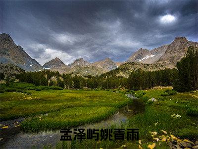 孟泽屿姚青雨全文免费阅读无弹窗大结局_（姚青雨孟泽屿在线阅读）孟泽屿姚青雨最新章节完整版阅读