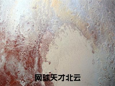 网球天才北云小说（北云）免费阅读全文无弹窗大结局_北云免费阅读无弹窗小说_小说笔趣阁