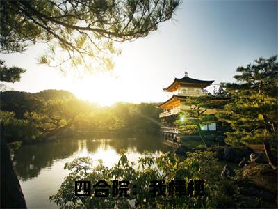 四合院：我棒梗，超级农场主！（ 佟霖许大茂全章节完整版）免费阅读-四合院：我棒梗，超级农场主！全文无删减阅读