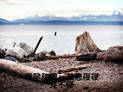 幸孕甜妻：战总夜夜宠不够（简溪战北寒）全文免费阅读无弹窗大结局_（幸孕甜妻：战总夜夜宠不够）简溪战北寒最新章节列表_笔趣阁