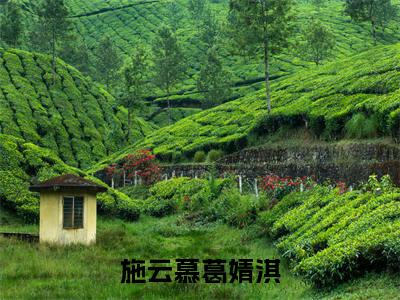 施云慕葛婧淇（葛婧淇施云慕）小说全文免费阅读无弹窗大结局_（葛婧淇施云慕免费阅读）施云慕葛婧淇最新章节列表笔趣阁