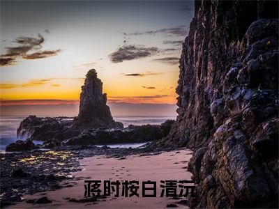 白清沅蒋时桉免费版最新更新阅读- 蒋时桉白清沅小说全文在线阅读