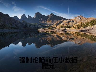 强制沦陷前任小叔掐腰宠（许桑洛陆司辰）全文免费阅读无弹窗大结局-强制沦陷前任小叔掐腰宠最新章节列表免费阅读