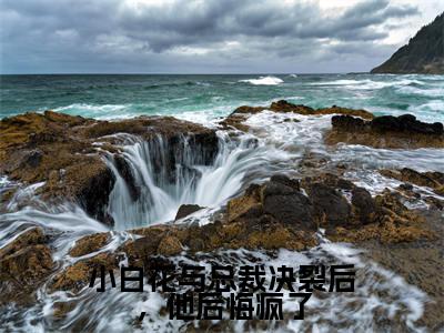 小白花与总裁决裂后，他后悔疯了小说全文（沈宜周从谨）全文免费阅读无弹窗大结局_小白花与总裁决裂后，他后悔疯了全文免费阅读无弹窗最新章节列表_笔趣阁