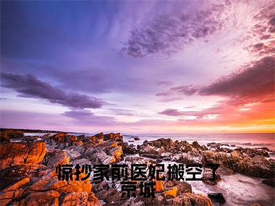 惊抄家前医妃搬空了京城（宫婉婉君无尘）免费阅读_宫婉婉君无尘小说免费阅读-笔趣阁