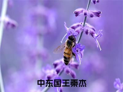 中东国王秦杰小说（秦杰）全文免费阅读无弹窗大结局_中东国王秦杰小说最新章节列表_笔趣阁