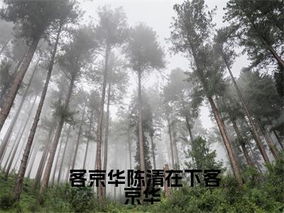 在下客京华多人追的小说在哪里可以看  客京华陈清知乎连载小说免费阅读全章节