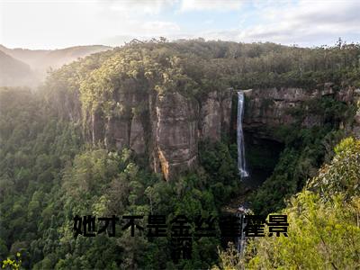 简棠霍景深（她才不是金丝雀霍景深）全文免费阅读无弹窗_简棠霍景深她才不是金丝雀霍景深最新章节免费阅读_笔趣阁