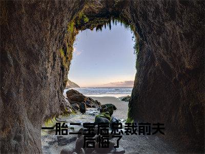 夏绵绵厉言今日更新最新章节 一胎二宝后总裁前夫后悔了在线阅读
