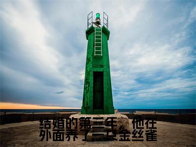 好书推荐小说结婚的第三年，他在外面养了一只金丝雀（沈烟怀姜姒）-结婚的第三年，他在外面养了一只金丝雀全文免费阅读大结局