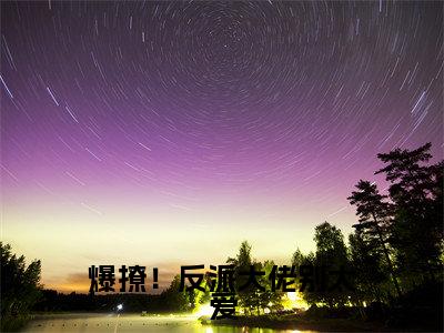 爆撩！反派大佬别太爱 林妤笙陆峥野精彩章节在线阅读- 林妤笙陆峥野美文欣赏