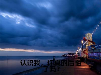 认识我，你真的后悔了吗？小说陆言深姜楠笙大结局-精彩美文陆言深姜楠笙免费阅读