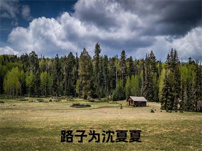 沈夏夏路子为小说全文免费阅读-路子为沈夏夏在线阅读的小说完整版