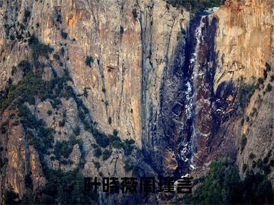 周瑾言叶晓薇(叶晓薇周瑾言)全文免费阅读无弹窗大结局_ 周瑾言叶晓薇免费阅读最新章节列表_笔趣阁
