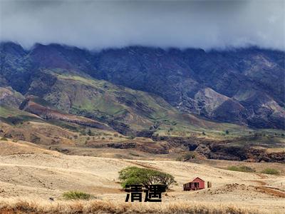 主角是沈清陈遇的小说-清遇全章节在线阅读