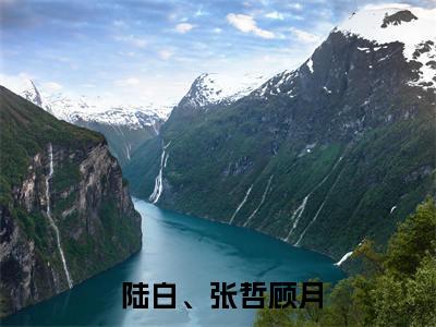  陆白、张哲顾月（五湖飞花令）小说全文-五湖飞花令小说免费阅读大结局