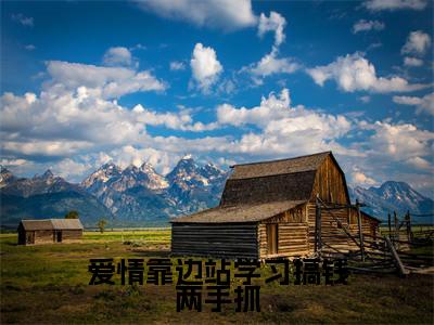 池蝉小说全文免费阅读_爱情靠边站学习搞钱两手抓（池蝉）最新章节列表笔趣阁