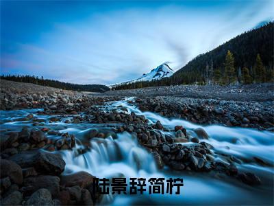 陆景辞简柠（简柠陆景辞全文在线阅读）-陆景辞简柠(简柠陆景辞)免费阅读