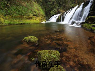 传承在手，我成了混世国医最新章节（ 林小龙刘大彪）小说推荐阅读-新书传承在手，我成了混世国医精彩阅读