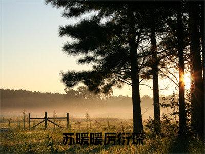 苏暖暖厉衍琛（厉衍琛苏暖暖）全文免费阅读无弹窗大结局_苏暖暖厉衍琛（厉衍琛苏暖暖免费小说）最新章节列表笔趣阁