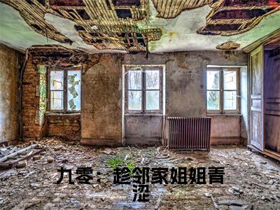  周婉余年在线阅读（九零：趁邻家姐姐青涩，娶回家！）全文免费阅读无弹窗大结局