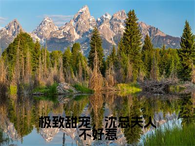 沈逸尘秦嫣免费小说（极致甜宠，沈总夫人不好惹）全文免费阅读_沈逸尘秦嫣免费小说沈逸尘秦嫣小说最新章节列表笔趣阁