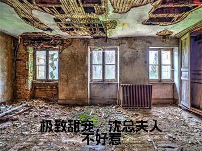 极致甜宠，沈总夫人不好惹（沈逸尘秦嫣）小说全文免费_极致甜宠，沈总夫人不好惹小说（沈逸尘秦嫣）最新章节目录笔趣阁