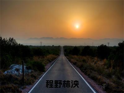 程野林泱的小说全文免费阅读无弹窗,林泱程野的小说在线免费阅读大结局（林泱程野）