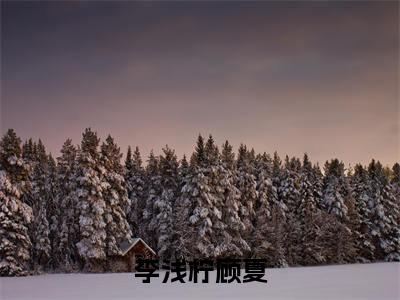 李浅柠顾夏（顾夏李浅柠）全文免费阅读无弹窗_（顾夏李浅柠小说全文免费阅读）李浅柠顾夏最新章节列表笔趣阁