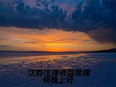 首席律师晚上好全文免费在线阅读_ 沈烨沈律师全文免费阅读无弹窗大结局