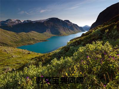 小说剩女宝典向嵘（阮玉珠向嵘全文免费阅读）完结阅读_阮玉珠向嵘全文免费阅读免费看全文