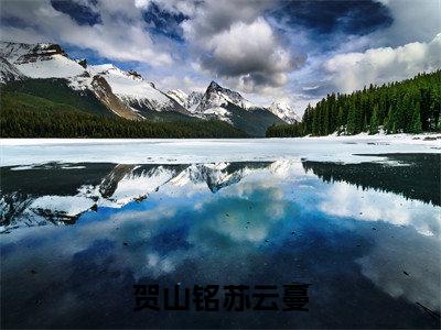 贺山铭苏云蔓(苏云蔓贺山铭)全文免费阅读无弹窗大结局_贺山铭苏云蔓完整版在线阅读章节列表_笔趣阁