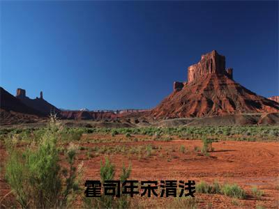 霍司年宋清浅（宋清浅霍司年）全文免费阅读无弹窗_（宋清浅霍司年小说全文免费阅读）霍司年宋清浅最新章节列表笔趣阁