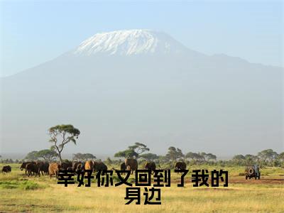 幸好你又回到了我的身边（苏栩凝顾风遇）最新章节在线阅读-老书虫推荐幸好你又回到了我的身边小说