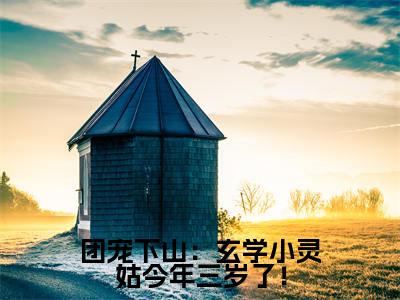 团宠下山：玄学小灵姑今年三岁了！（ 苏颜星唐应）全文免费阅读大结局_团宠下山：玄学小灵姑今年三岁了！最新章节列表_笔趣阁