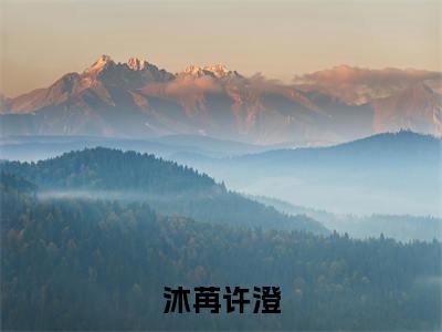沐苒许澄在线阅读（许澄沐苒）全文免费阅读无弹窗大结局_许澄沐苒免费最新章节列表