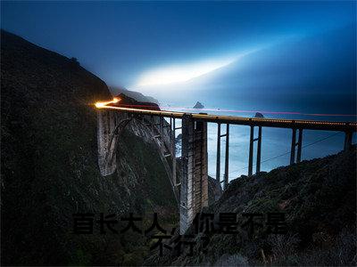 阮宁锦叶季同（首长大人，你是不是不行？小说）全文免费阅读无弹窗大结局_（阮宁锦叶季同）首长大人，你是不是不行？小说最新章节列表