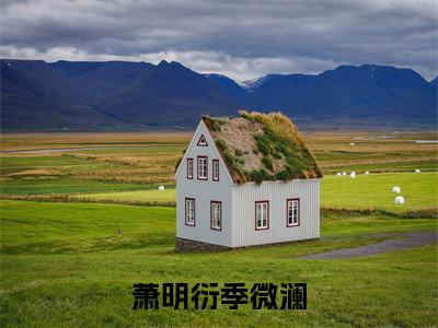 （萧明衍季微澜）全文免费阅读无弹窗大结局_（季微澜萧明衍）章节列表_笔趣阁