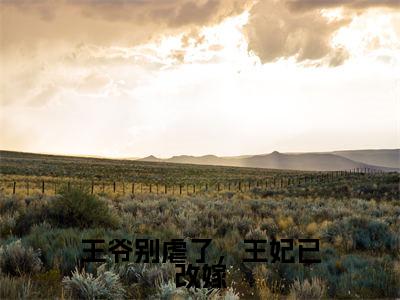 王爷别虐了，王妃已改嫁无广告免费阅读-小说顾千舟君墨沉最后结局如何