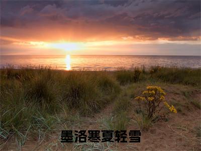 夏轻雪墨洛寒墨洛寒夏轻雪完结小说-墨洛寒夏轻雪全文免费阅读无弹窗