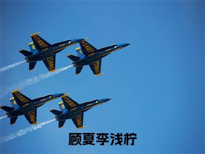 顾夏李浅柠李浅柠顾夏无广告阅读 新上热文李浅柠顾夏在线免费读