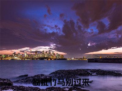 疯批竹马别过来（王诗雅林然）全文免费阅读无弹窗大结局_(王诗雅林然)免费阅读无弹窗最新章节列表