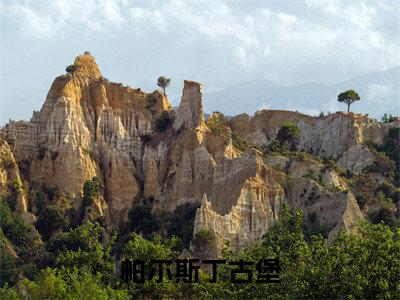 帕尔斯丁古堡（ 丞风丞封）完结版小说-帕尔斯丁古堡小说全文免费阅读笔趣阁