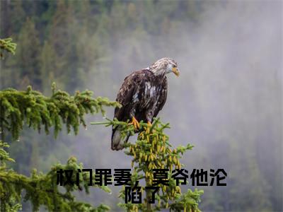 素嫣莫南泽（权门罪妻，莫爷他沦陷了）全文免费阅读无弹窗大结局_素嫣莫南泽最新章节列表_笔趣阁（权门罪妻，莫爷他沦陷了）