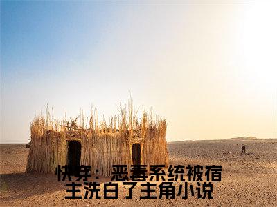  姜吟时慕笙（快穿：恶毒系统被宿主洗白了小说）全文免费阅读无弹窗大结局_（ 姜吟时慕笙）快穿：恶毒系统被宿主洗白了小说最新章节列表