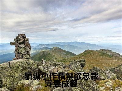 骄纵小作精禁欲总裁宠妻成瘾（岑望月盛棠舟）小说全文免费阅读无弹窗-骄纵小作精禁欲总裁宠妻成瘾小说全文免费阅读大结局笔趣阁